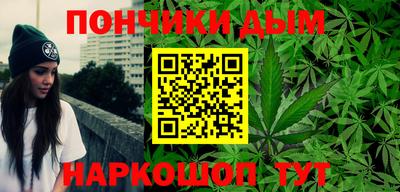 крисы Камышлов