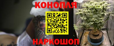 крисы Камышлов